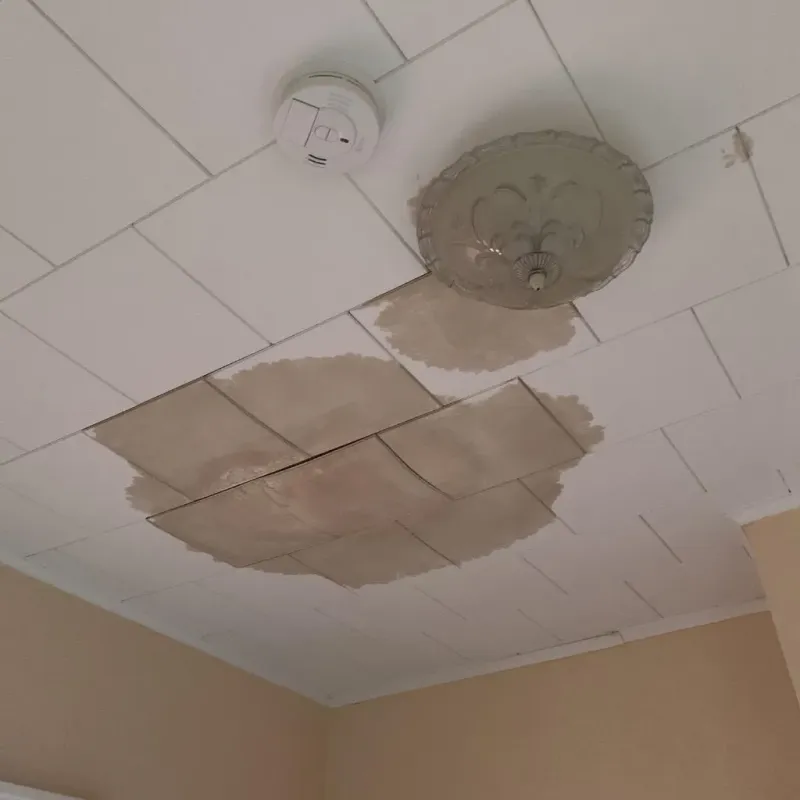 Ceiling Water Damage Repair in Mayville, ND