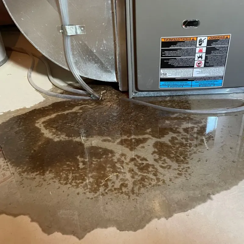 Pipe Burst and Leak Restoration in Mayville, ND